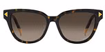 HAVANA (BROWN SHADED / GRADIENT)