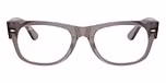 Transparent Grey / Grey