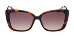 DARK HAVANA / GRADIENT BROWN