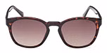 DARK HAVANA / DARK HAVANA / GRADIENT BROWN