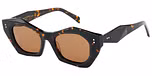 Tort with Brown Lens