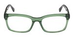 SHINY DARK GREEN / SHINY DARK GREEN