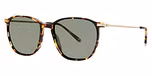 Tortoise / Polarized