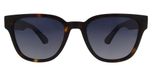 Tortoise Brown Polarized