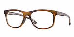 SATIN BROWN TORTOISE / brown