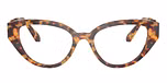 Havana / Tortoise