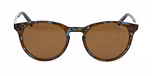 GOLD MEDIUM SHINY / Polarized