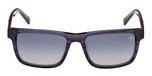 BLUE / HORN / BLUE/HORN / SMOKE POLARIZED