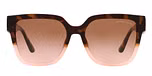 DARK TORTOISE/PINK/brown pink gradient