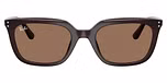 Opal Brown / Dark Brown