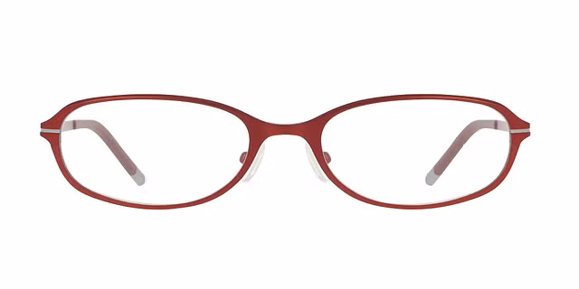 DKNY - DK1040