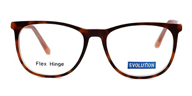 Evolution - EV1102