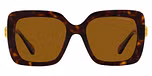Havana / Tortoise / Polarized Brown