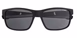 Matte black / Solid smoke (Cat 3)