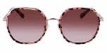 ROSE GOLD / HAVANA
