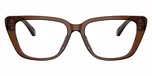 Shiny Transparent Brown