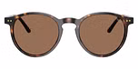 Shiny Dark Havana / Brown
