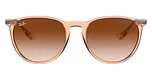 TRANSPARENT LIGHT BROWN / light brown / brown gradient dark brown