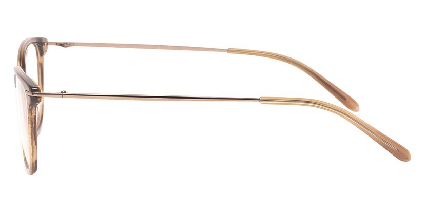Ferucci Titanium 752