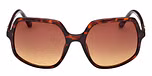 DARK HAVANA / DARK HAVANA / GRADIENT BROWN