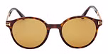 DARK HAVANA / DARK HAVANA / BROWN POLARIZED