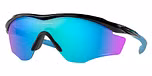 POLISHED BLACK / black / prizm sapphire