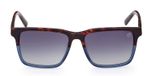 DARK HAVANA / SMOKE POLARIZED