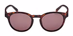 DARK HAVANA / DARK HAVANA / BROWN