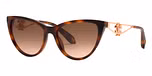 HAVANA BROWN / BROWN GRADIENT
