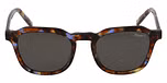 BROWN / Grey / TRI ACETATE CELLULOSE/ Polarized