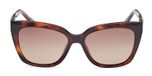 DARK HAVANA / BROWN POLARIZED