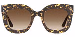HAVANA (BROWN SHADED / GRADIENT) 
