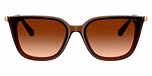 Transparent Brown / Brown / Gradient Brown