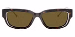 Shiny dark havana / Brown