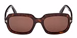 Dark Havana / Dark Havana / brown