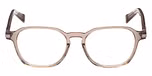 Shiny Beige / Shiny Beige