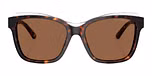 Shiny Havana / Top Crystal / Dark Brown