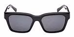 SHINY BLACK / SHINY BLACK / SMOKE POLARIZED