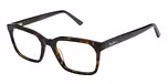 TORTOISE SHELL