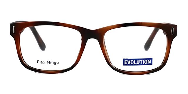Evolution - EV2061