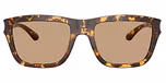 Havana / Solid brown