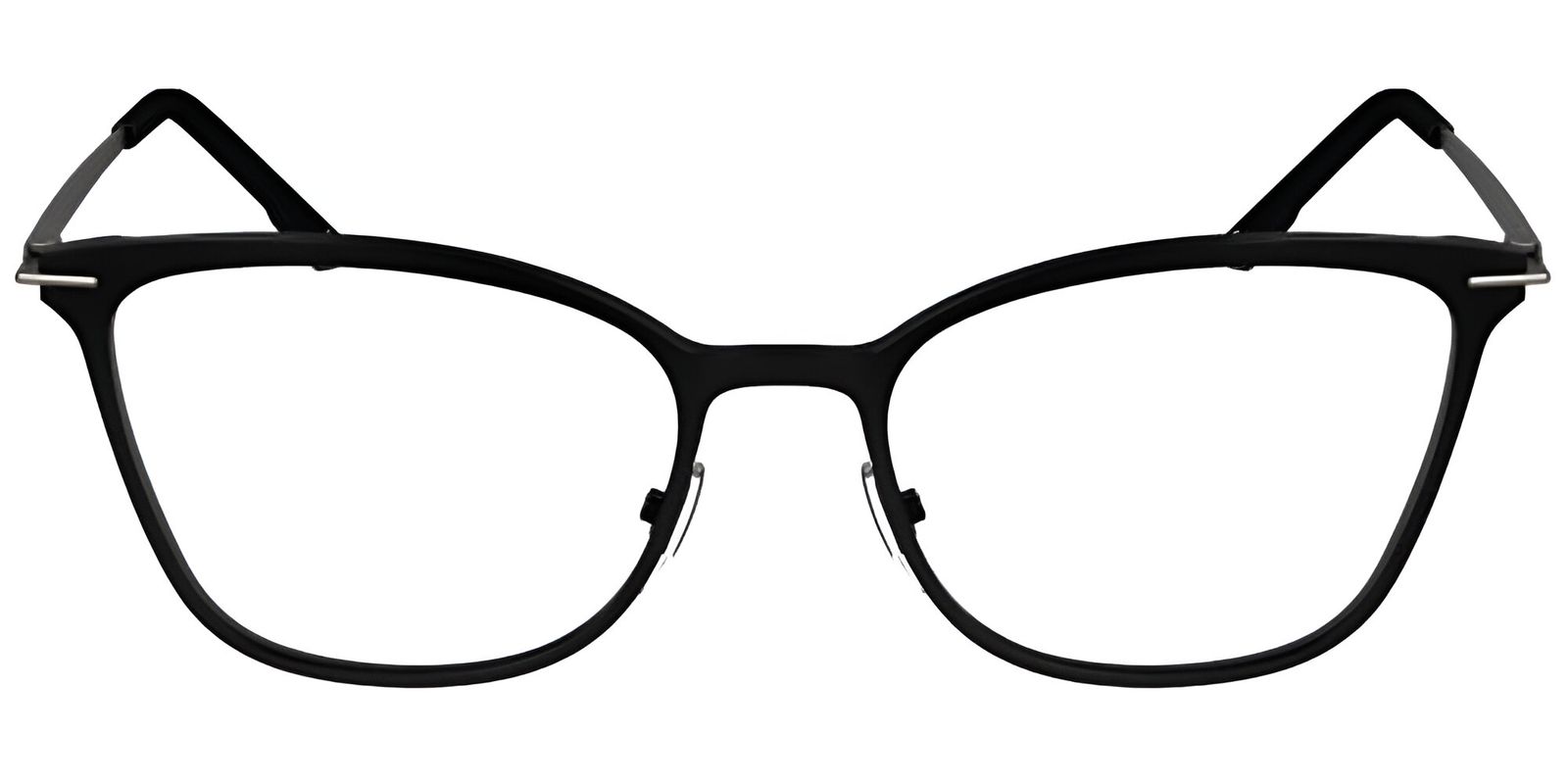 SK2161 LJUNG