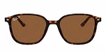 TORTOISE / havana / b-15 brown