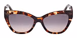 DARK HAVANA / SHINY DARK BROWN / GRADIENT SMOKE