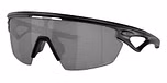 Matte Black/Prizm black polarized