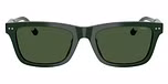 Shiny Green / Dark Green