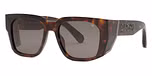 SHINY DARK HAVANA/GREY/GREEN