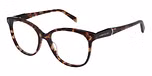 TORTOISESHELL