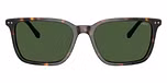 Shiny Dark Havana / Bottle Green