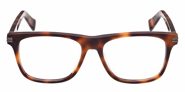 Ermenegildo Zegna - EZ5342